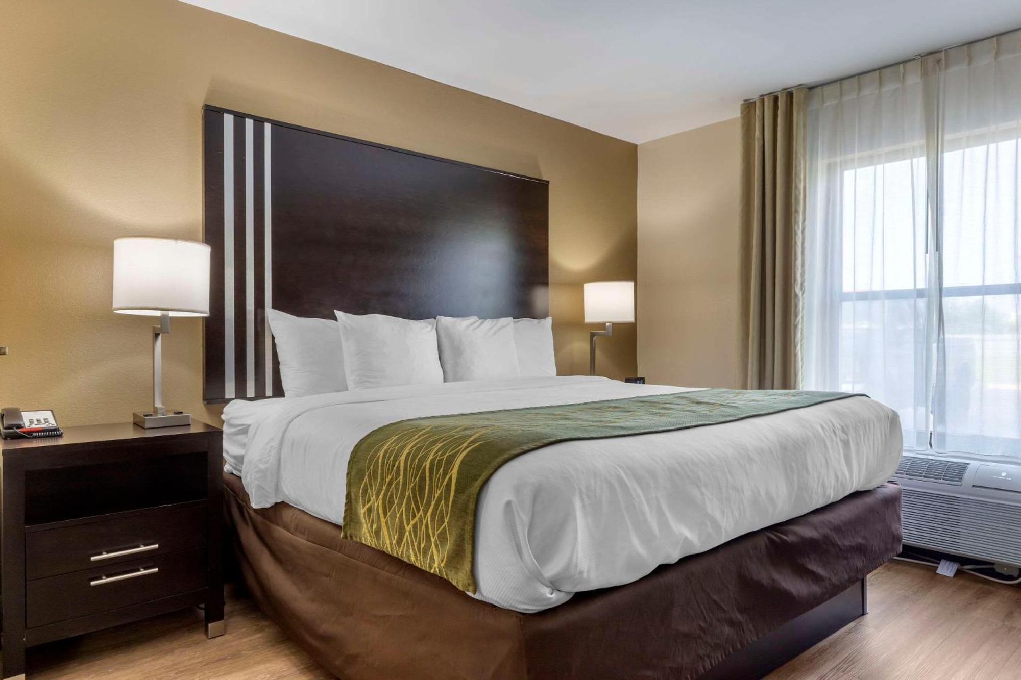 Comfort Inn Near Downtown & Blue Ridge Pkwy Marion Exteriör bild