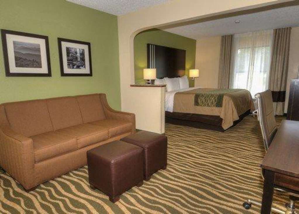 Comfort Inn Near Downtown & Blue Ridge Pkwy Marion Rum bild